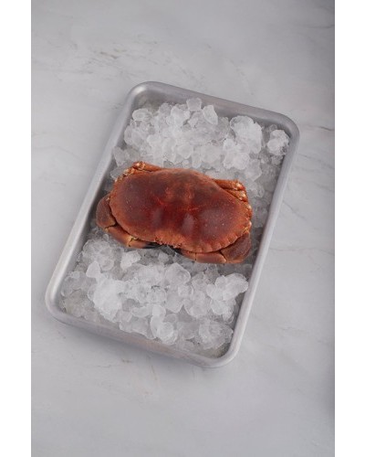 Buey cocido 600-800g