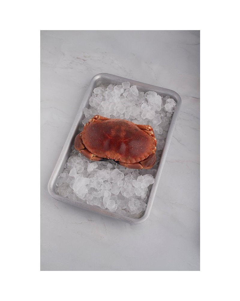 Buey cocido 600-800g